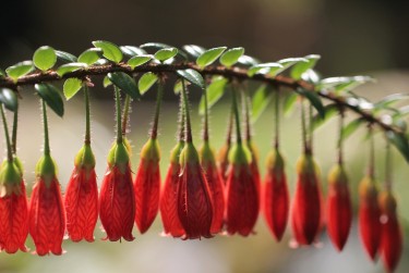惠州惠阳区5私人快速借钱网，轻松解决资金难题