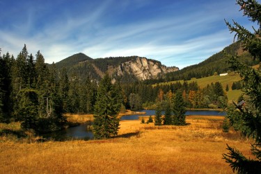 惠州惠阳区5民间私贷攻略：揭秘低成本借贷的秘密