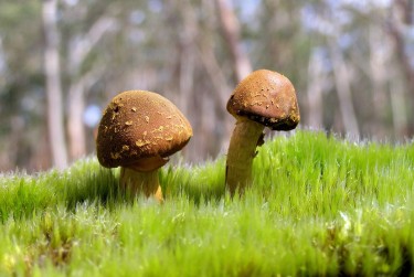 惠州惠阳区5私人老板放款：轻松融资的秘密通道